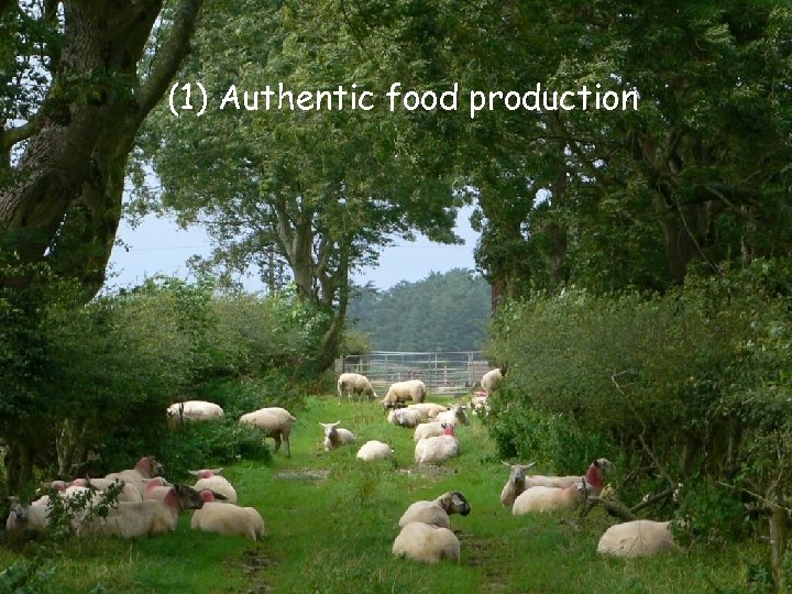 Eco. Region Partner Conference, Asker (Norway) 24 -26 May 2011 (1) Authentic food production