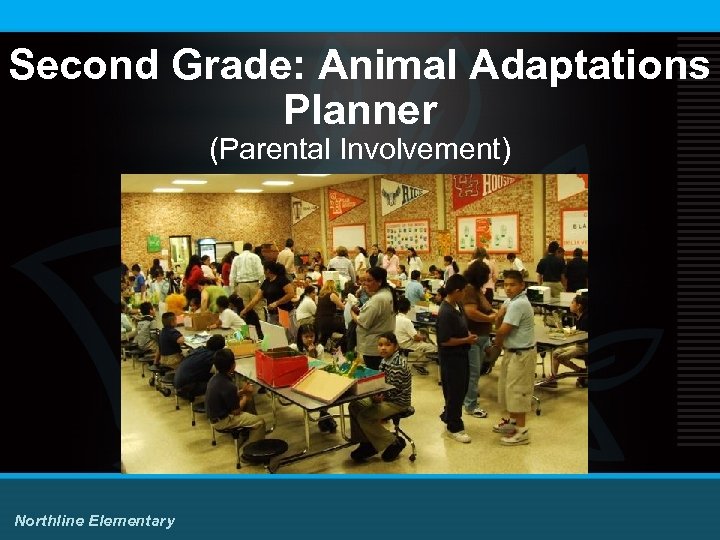 Second Grade: Animal Adaptations Planner (Parental Involvement) Northline Elementary 