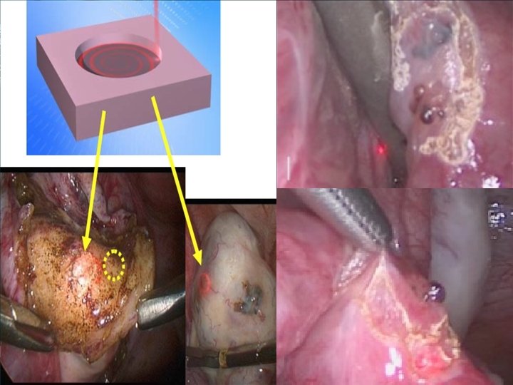 LOGO www. themegallery. com 