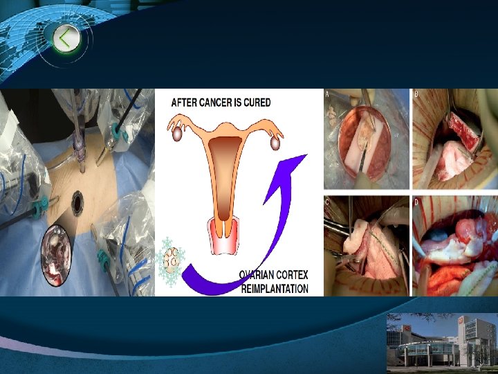 LOGO www. themegallery. com 