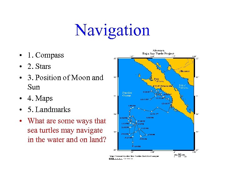 Navigation • 1. Compass • 2. Stars • 3. Position of Moon and Sun
