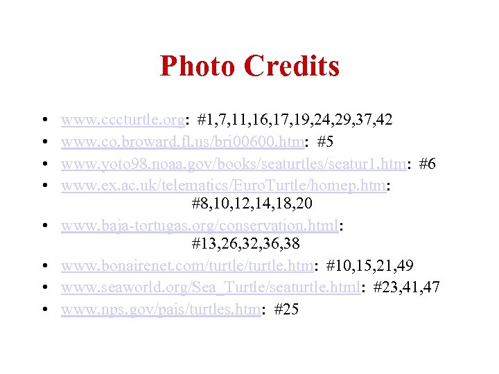 Photo Credits • • www. cccturtle. org: #1, 7, 11, 16, 17, 19, 24,