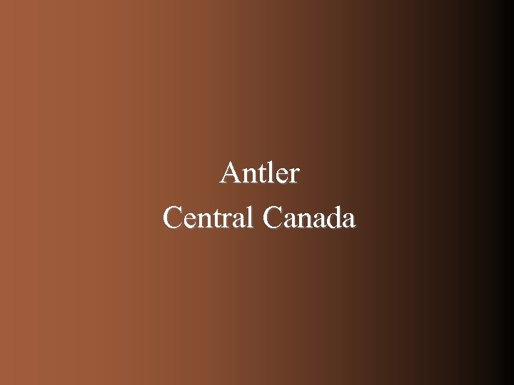 Antler Central Canada 