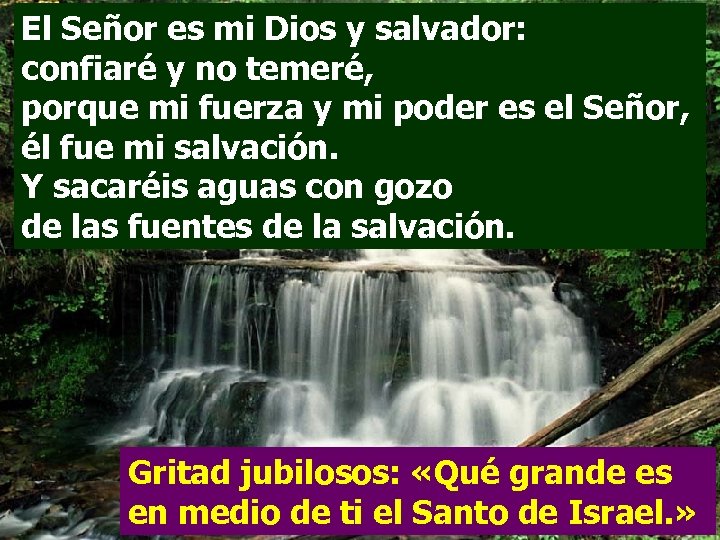 El Señor es mi Dios y salvador: confiaré y no temeré, porque mi fuerza