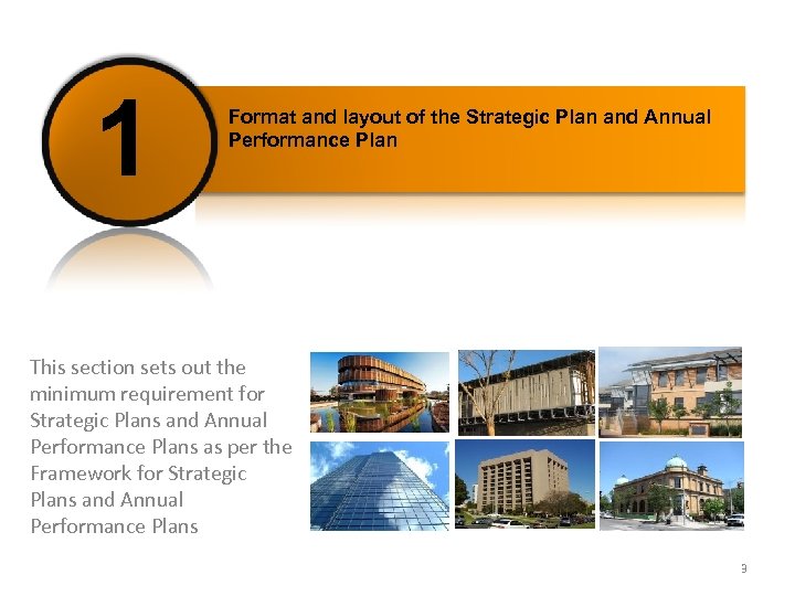 1 Format and layout of the Strategic Plan and Annual Performance Plan This section
