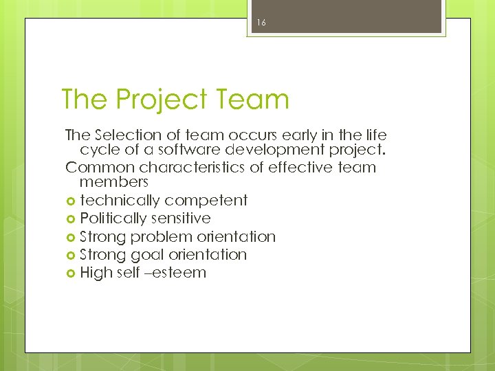 16 The Project Team The Selection of team occurs early in the life cycle