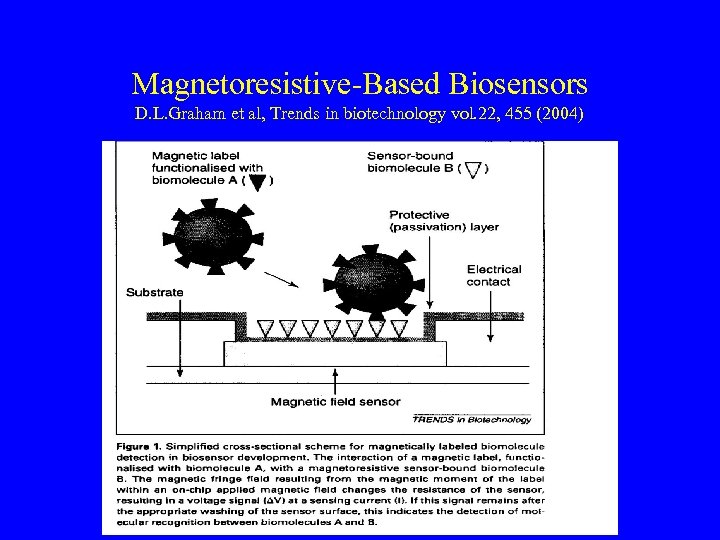 Magnetoresistive-Based Biosensors D. L. Graham et al, Trends in biotechnology vol. 22, 455 (2004)