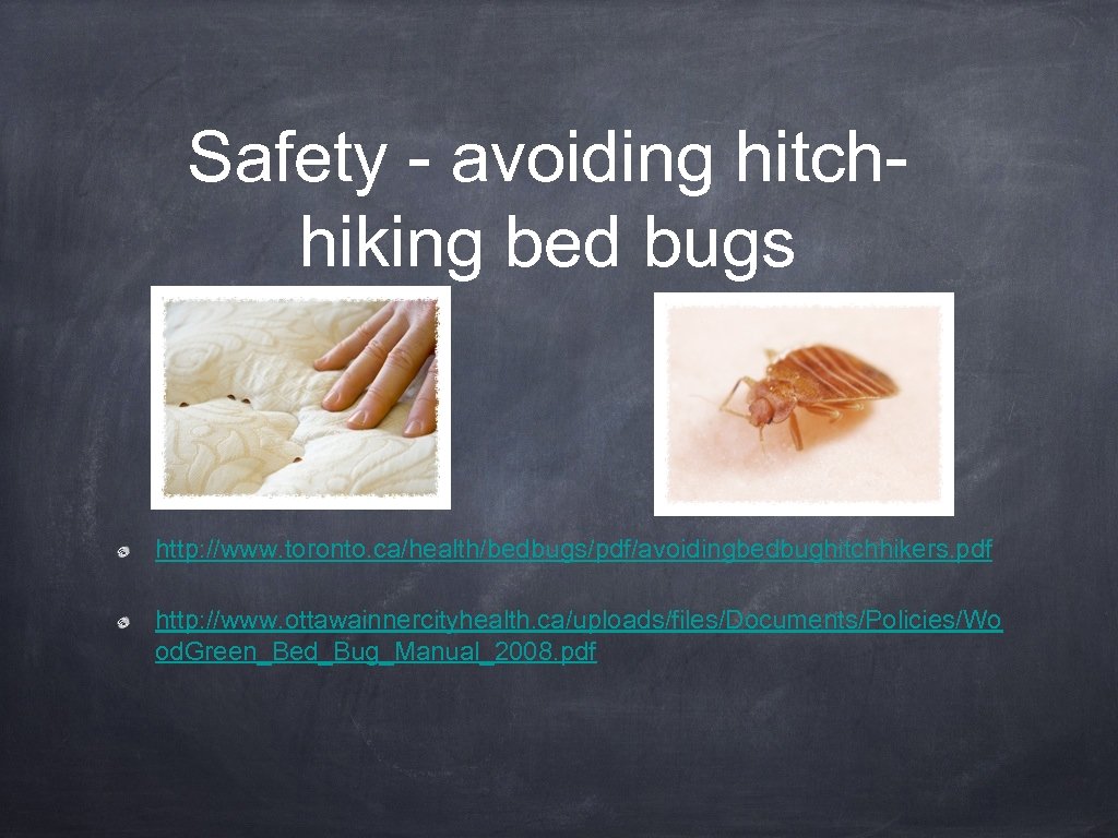 Safety - avoiding hitchhiking bed bugs http: //www. toronto. ca/health/bedbugs/pdf/avoidingbedbughitchhikers. pdf http: //www. ottawainnercityhealth.