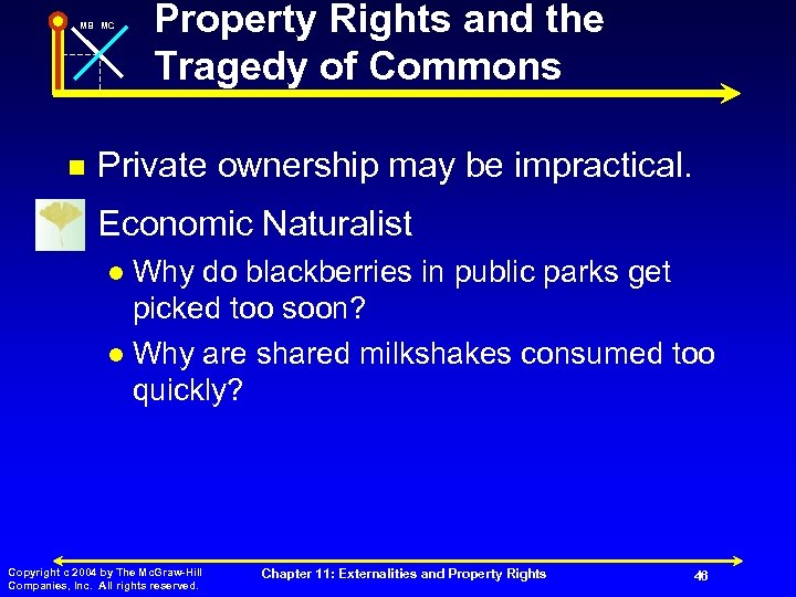MB MC Property Rights and the Tragedy of Commons n Private ownership may be