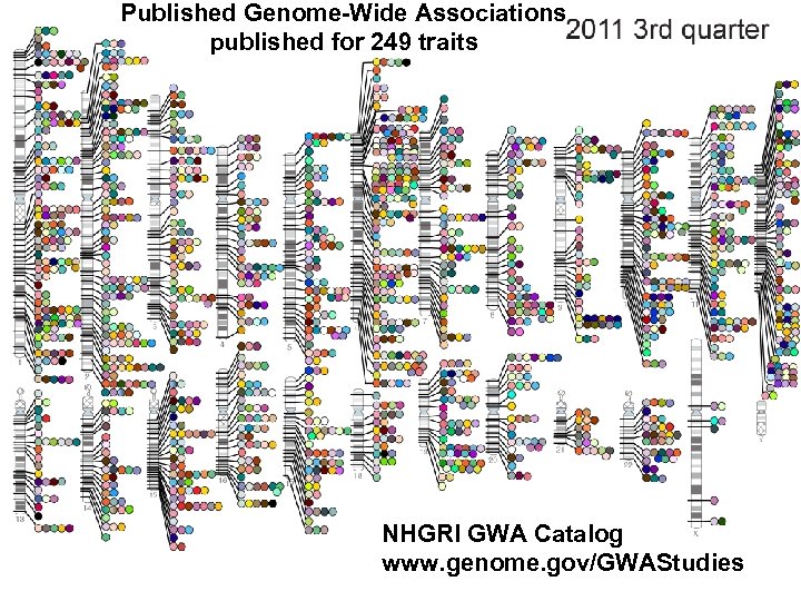 Published Genome-Wide Associations published for 249 traits NHGRI GWA Catalog www. genome. gov/GWAStudies 