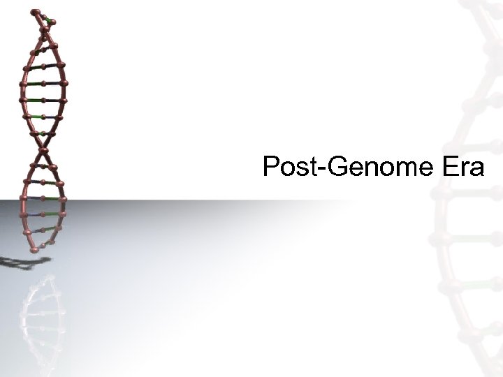 Post-Genome Era 