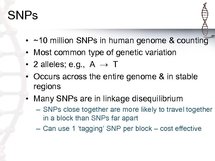 SNPs • • ~10 million SNPs in human genome & counting Most common type