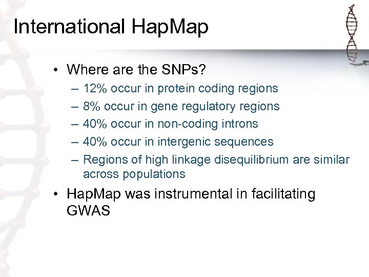 International Hap. Map • Where are the SNPs? – – – 12% occur in