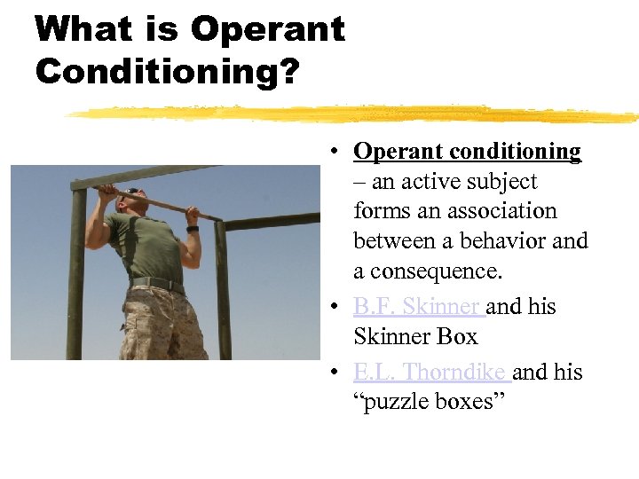 What is Operant Conditioning? • Operant conditioning – an active subject forms an association