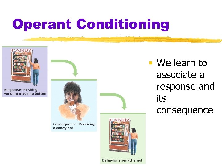 Operant Conditioning We learn to associate a response and its consequence 