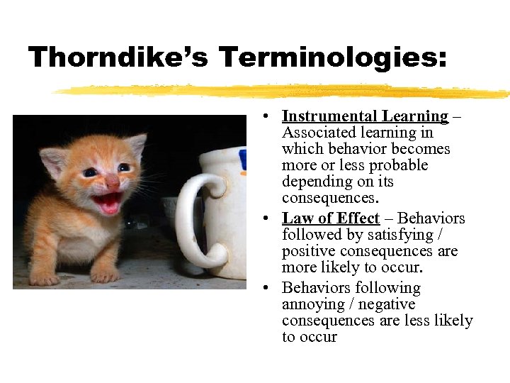 Thorndike’s Terminologies: • Instrumental Learning – Associated learning in which behavior becomes more or