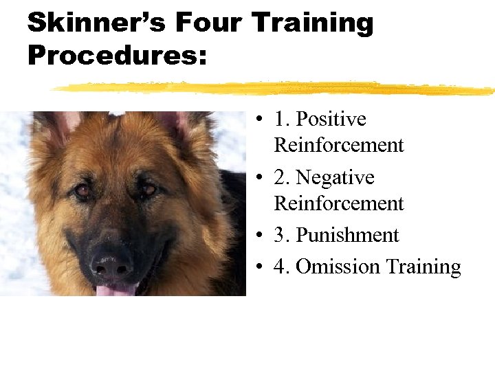 Skinner’s Four Training Procedures: • 1. Positive Reinforcement • 2. Negative Reinforcement • 3.