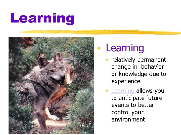 Learning relatively permanent change in behavior or knowledge due to experience. Learning allows you