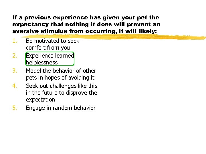 If a previous experience has given your pet the expectancy that nothing it does