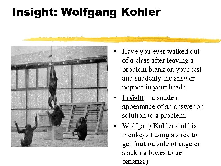 Insight: Wolfgang Kohler • Have you ever walked out of a class after leaving