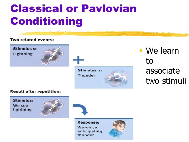 Classical or Pavlovian Conditioning We learn to associate two stimuli 