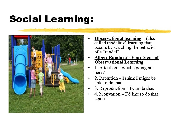 Social Learning: • Observational learning – (also called modeling) learning that occurs by watching