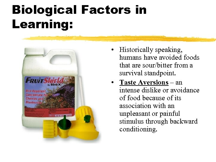 Biological Factors in Learning: • Historically speaking, humans have avoided foods that are sour/bitter