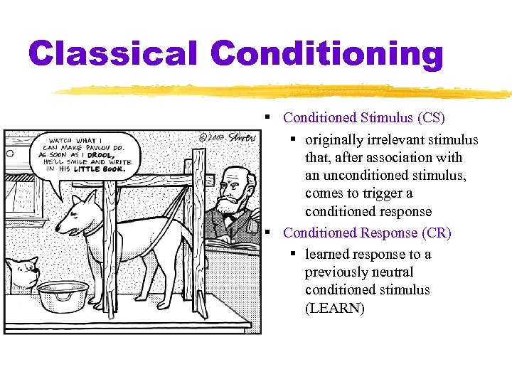 Classical Conditioning Conditioned Stimulus (CS) originally irrelevant stimulus that, after association with an unconditioned