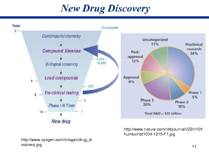 New Drug Discovery http: //www. nature. com/nbt/journal/v 22/n 10/t humbs/nbt 1004 -1215 -F 1.