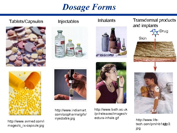 Dosage Forms Tablets/Capsules Injectables Inhalants Transdermal products and implants Drug Skin http: //www. avmed.