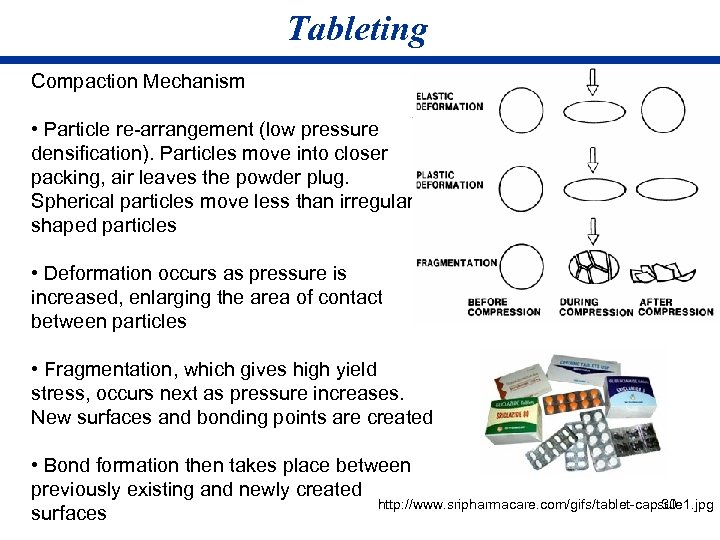 Tableting Compaction Mechanism • Particle re-arrangement (low pressure densification). Particles move into closer packing,