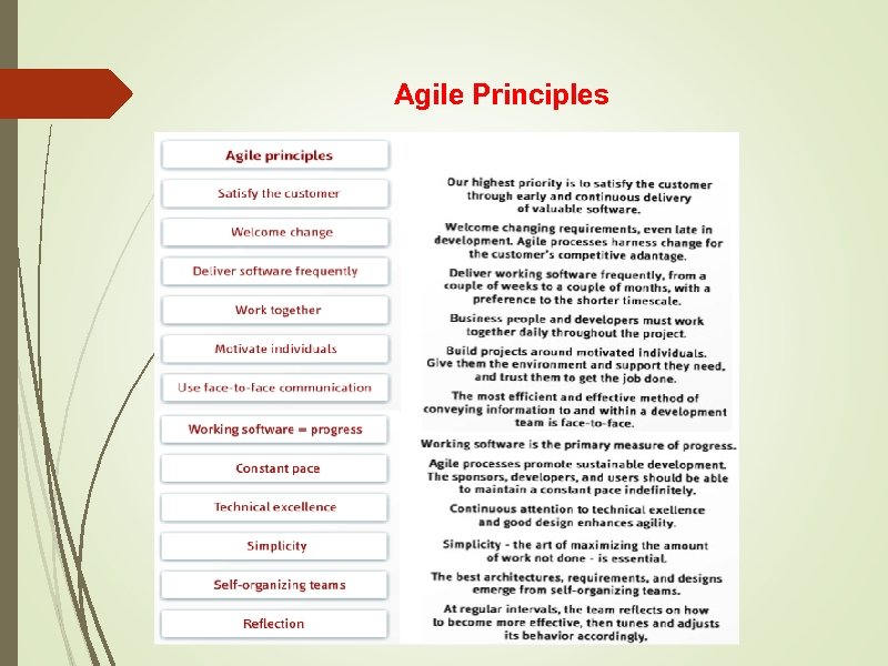 Agile Principles 