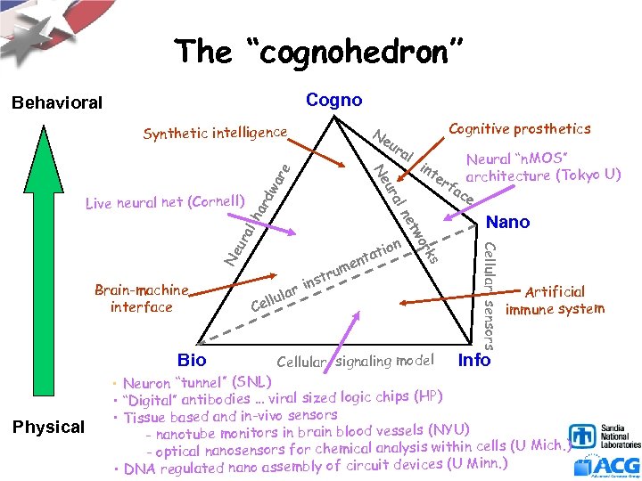 The “cognohedron” Cogno Behavioral Ne Synthetic intelligence wa rd ha al Ne ur Bio