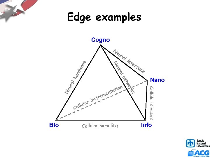 Edge examples Cogno ha al Ne ur Bio e rum st in Cellular signaling