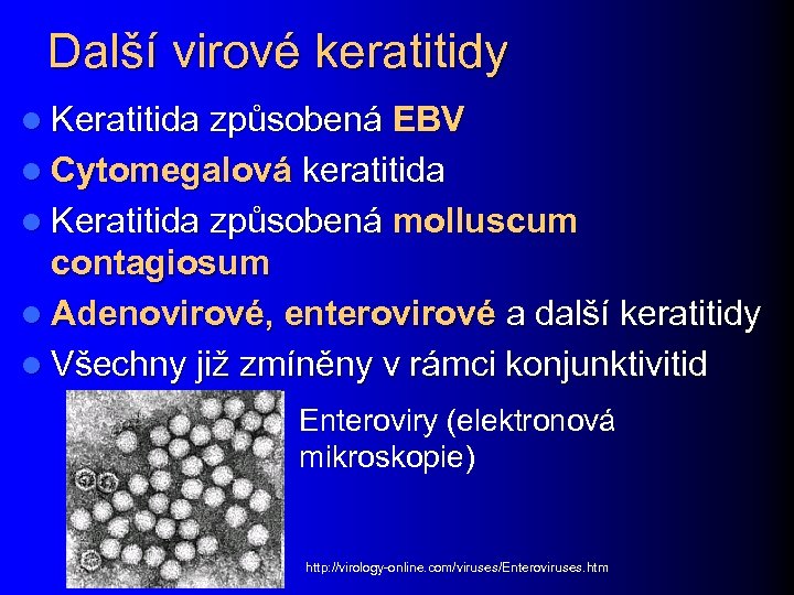 Další virové keratitidy l Keratitida způsobená EBV l Cytomegalová keratitida l Keratitida způsobená molluscum
