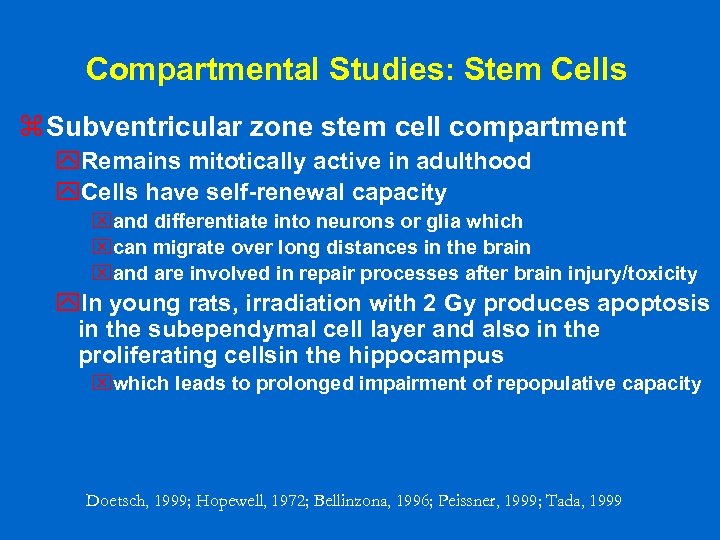 Compartmental Studies: Stem Cells z Subventricular zone stem cell compartment y. Remains mitotically active