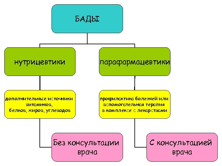 БАДЫ нутрицевтики парафармацевтики дополнительные источники витаминов, белков, жиров, углеводов профилактика болезней или вспомогательная терапия