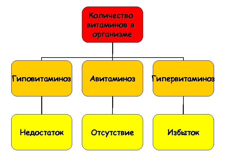 Количество витаминов в организме Гиповитаминоз Авитаминоз Гипервитаминоз Недостаток Отсутствие Избыток 
