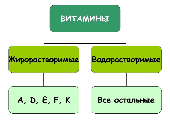 ВИТАМИНЫ Жирорастворимые Водорастворимые A, D, E, F, K Все остальные 