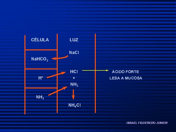 CÉLULA LUZ Na. Cl Na. HCO 3 H+ HCl + NH 3 ÁCIDO FORTE