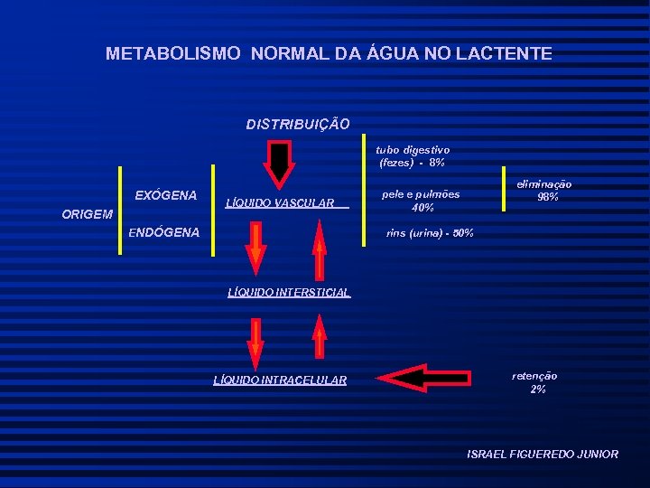 METABOLISMO NORMAL DA ÁGUA NO LACTENTE DISTRIBUIÇÃO tubo digestivo (fezes) - 8% EXÓGENA ORIGEM