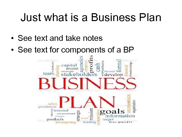 Just what is a Business Plan • See text and take notes • See