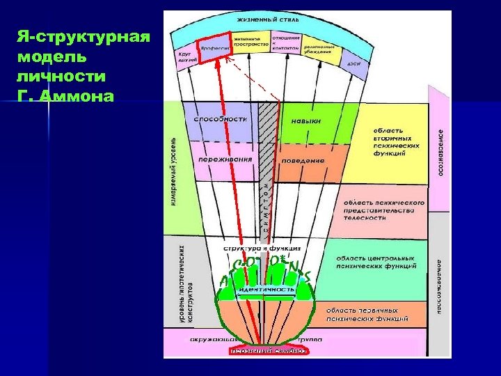 Я-структурная модель личности Г. Аммона 
