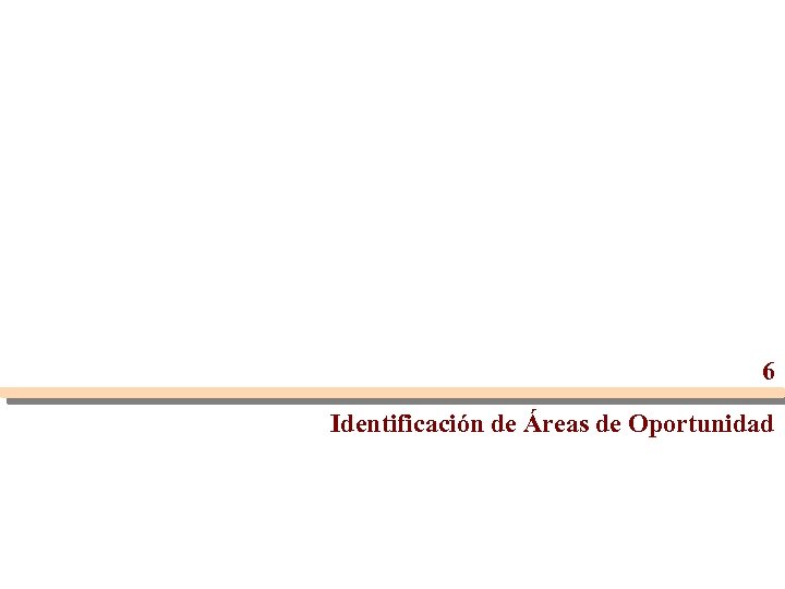 6 Identificación de Áreas de Oportunidad 