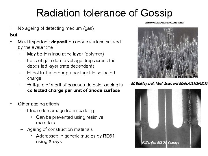 Radiation tolerance of Gossip SILICON FILAMENTS ON AGED ANODE WIRES: • No ageing of