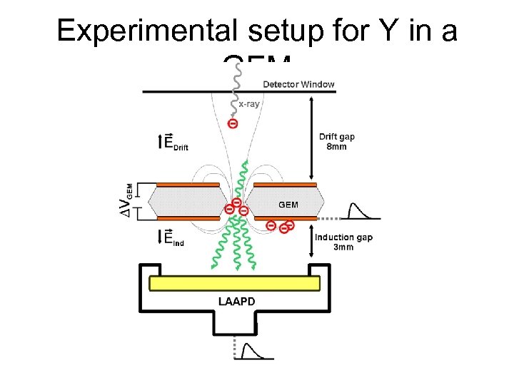 Experimental setup for Y in a GEM 