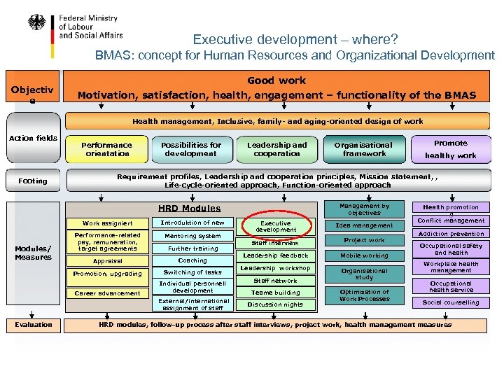 Executive development – where? BMAS: concept for Human Resources and Organizational Development Objectiv e