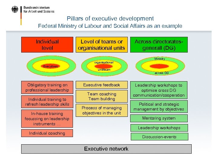 Pillars of executive development Federal Ministry of Labour and Social Affairs as an example