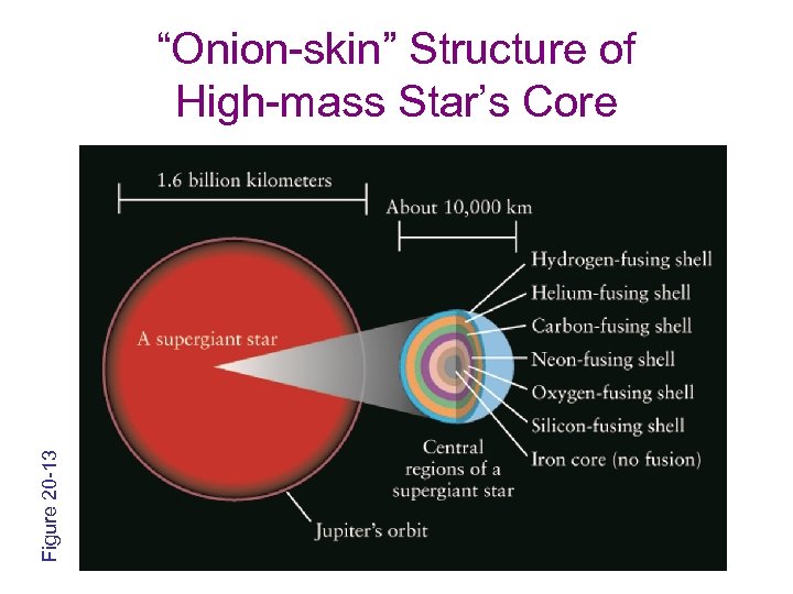 Figure 20 -13 “Onion-skin” Structure of High-mass Star’s Core 