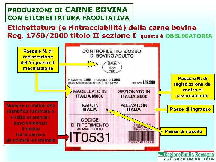 PRODUZIONI DI CARNE BOVINA CON ETICHETTATURA FACOLTATIVA Etichettatura (e rintracciabilità) della carne bovina Reg.